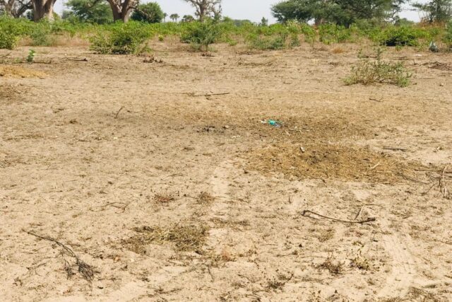 Vente Terrain THIES SENEGAL  