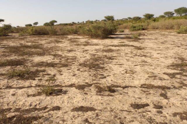 Vente&nbsp;Terrain&nbsp;THIES&nbsp;SENEGAL&nbsp;&nbsp;