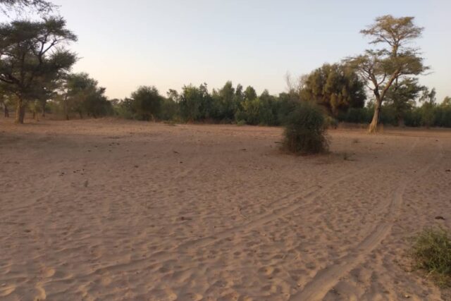 Vente Terrain THIES SENEGAL  