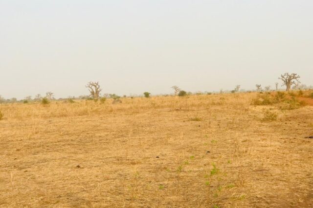 Vente Terrain THIES SENEGAL  