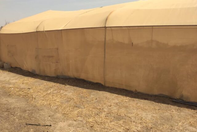 Vente Terrain THIES SENEGAL  