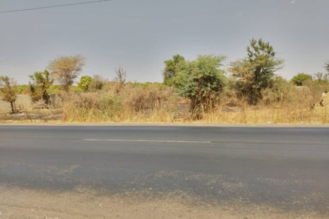 Vente Terrain THIES SENEGAL  