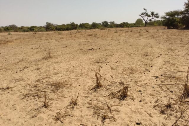 Vente Terrain THIES SENEGAL  