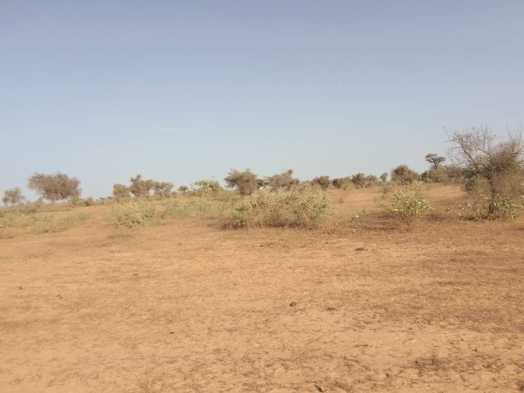 Vente Terrain THIES SENEGAL  