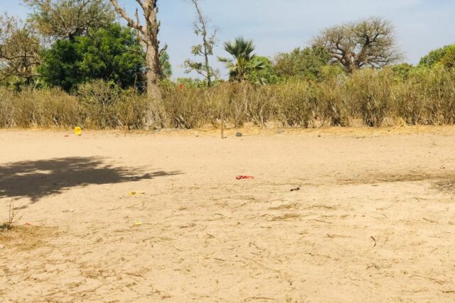 Vente Terrain THIES SENEGAL  