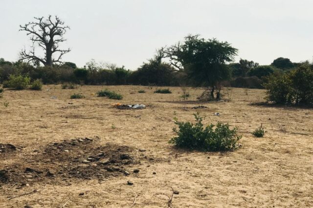 Vente Terrain THIES SENEGAL  