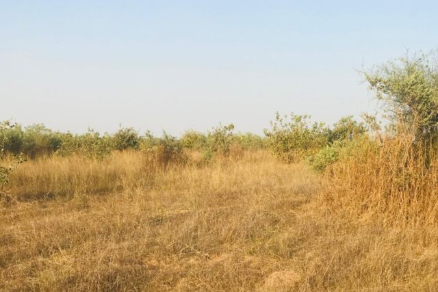 Vente Terrain THIES SENEGAL  
