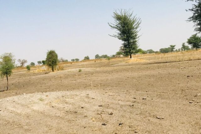 Vente Terrain THIES SENEGAL  