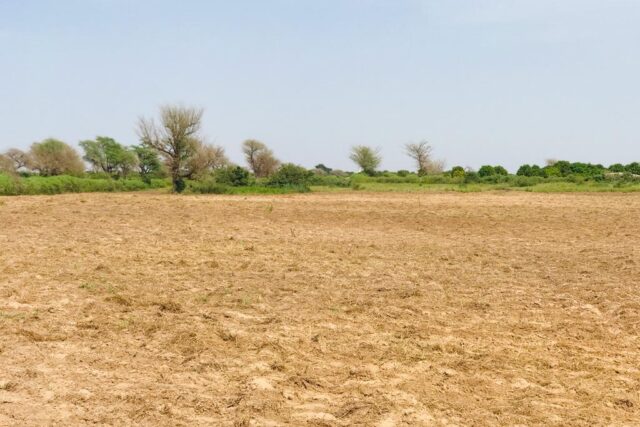 Vente Terrain THIES SENEGAL  