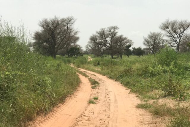 Vente Terrain THIES SENEGAL  