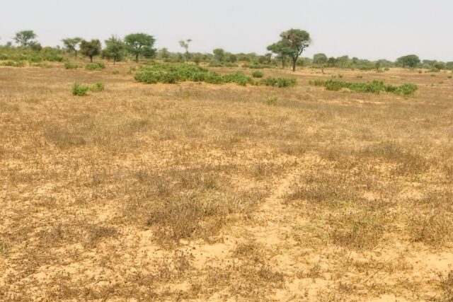 Vente Terrain THIES SENEGAL  