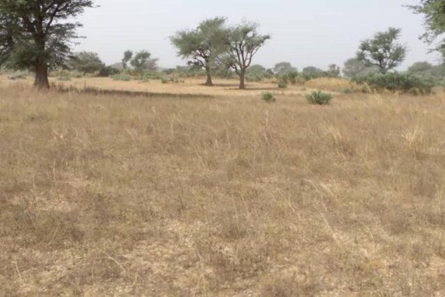 Vente Terrain THIES SENEGAL  