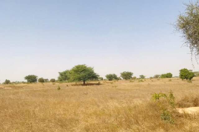 Vente Terrain THIES SENEGAL  