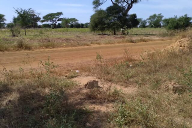 Vente Terrain THIES SENEGAL  