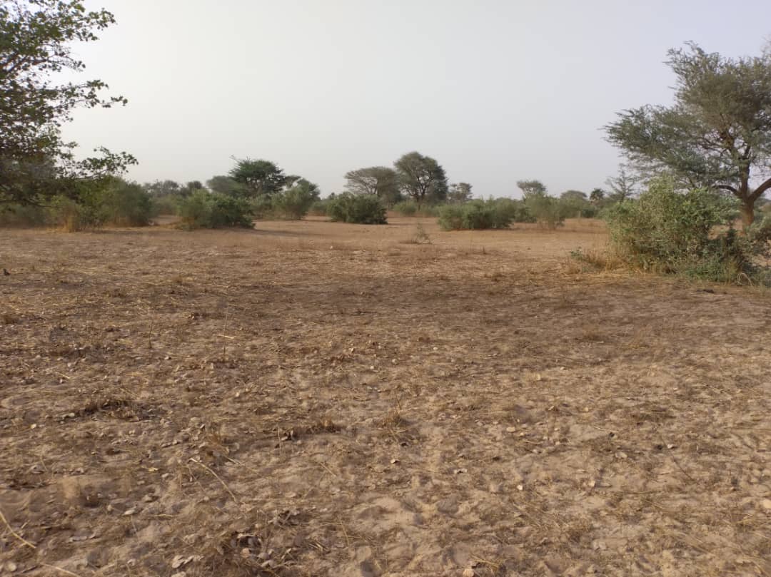 Vente Terrain THIES SENEGAL  