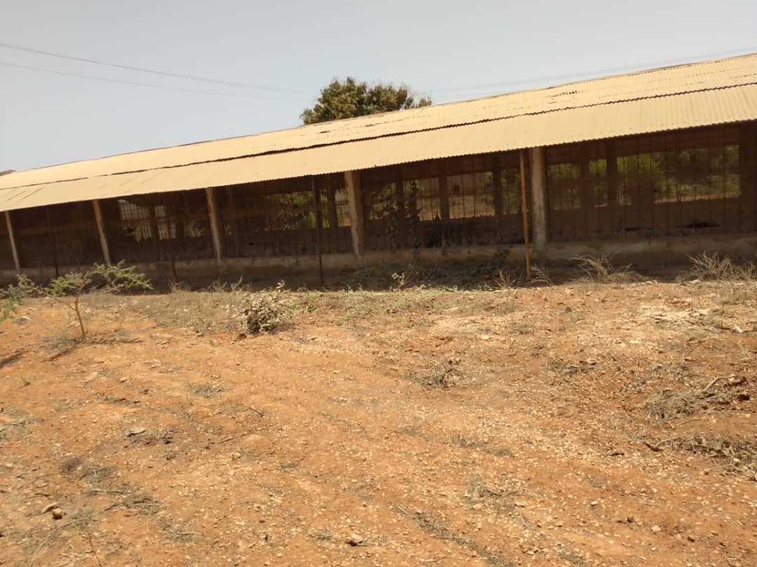 Vente Terrain THIES SENEGAL  