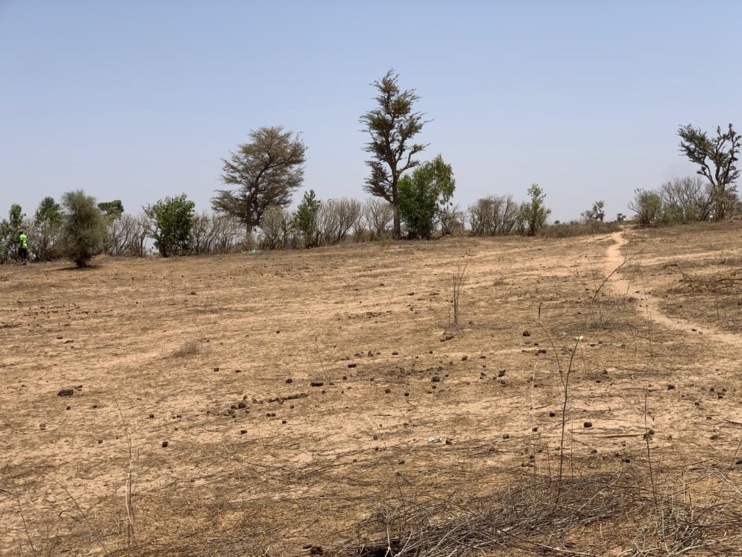 Vente Terrain THIES SENEGAL  