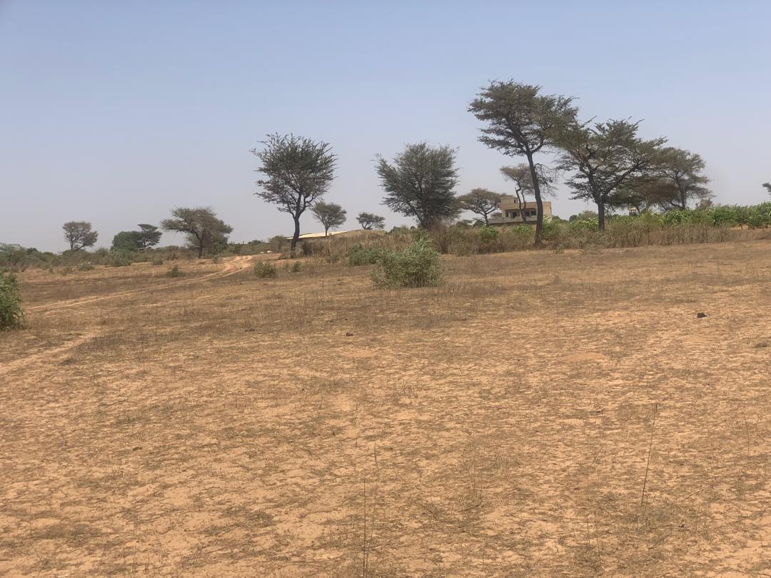 Vente Terrain THIES SENEGAL  