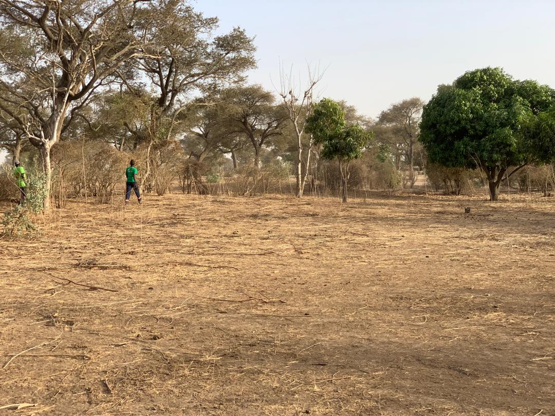 Vente Terrain THIES SENEGAL  