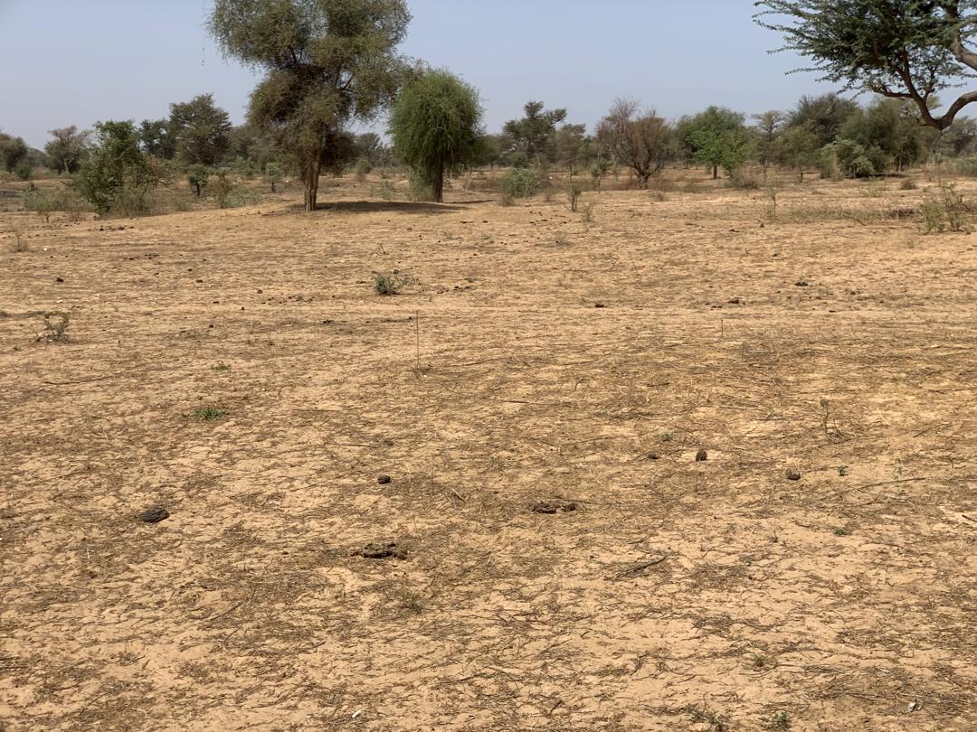 Vente Terrain THIES SENEGAL  