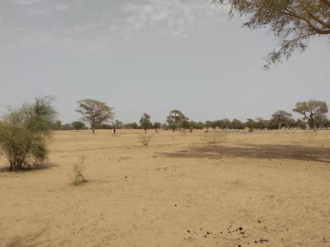 Vente Terrain THIES SENEGAL  