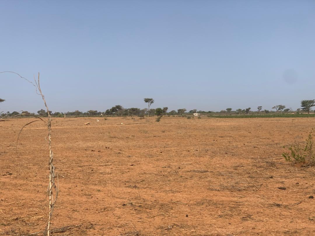 Vente Terrain THIES SENEGAL  