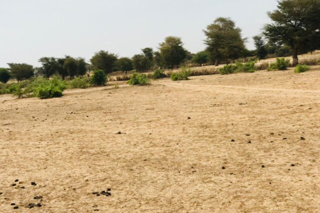 Vente Terrain THIES SENEGAL  