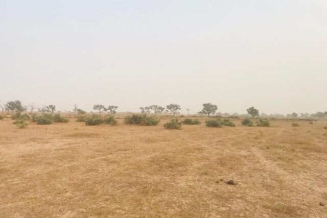 Vente Terrain THIES SENEGAL  