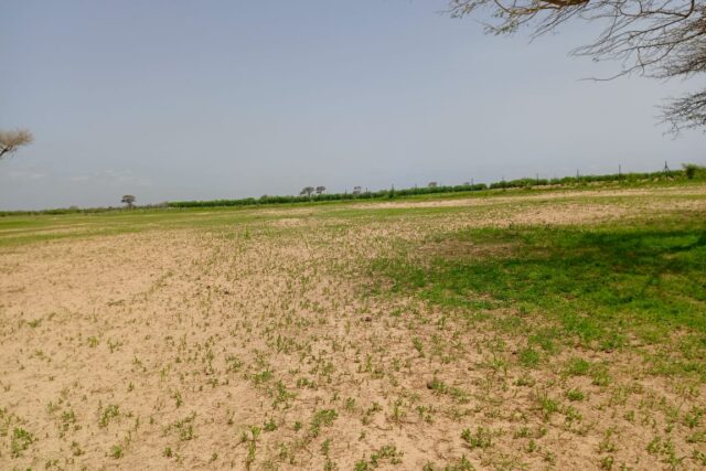 Vente Terrain THIES SENEGAL  