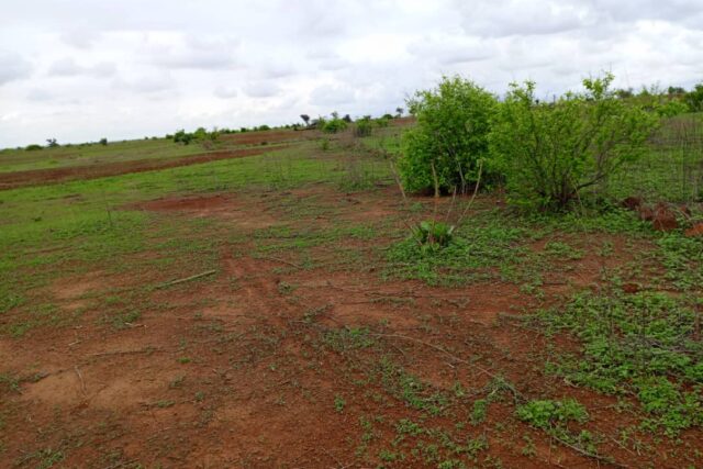 Vente Terrain THIES SENEGAL  