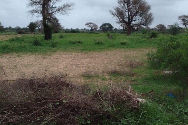 Vente Terrain THIES SENEGAL  