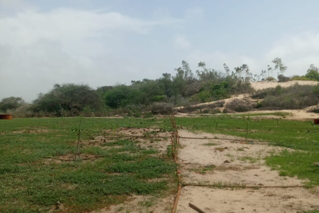 Vente Terrain THIES SENEGAL  