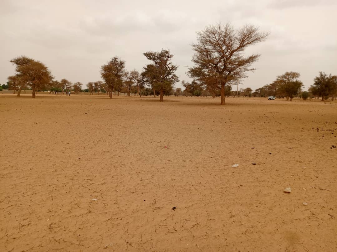 Vente Terrain THIES SENEGAL  