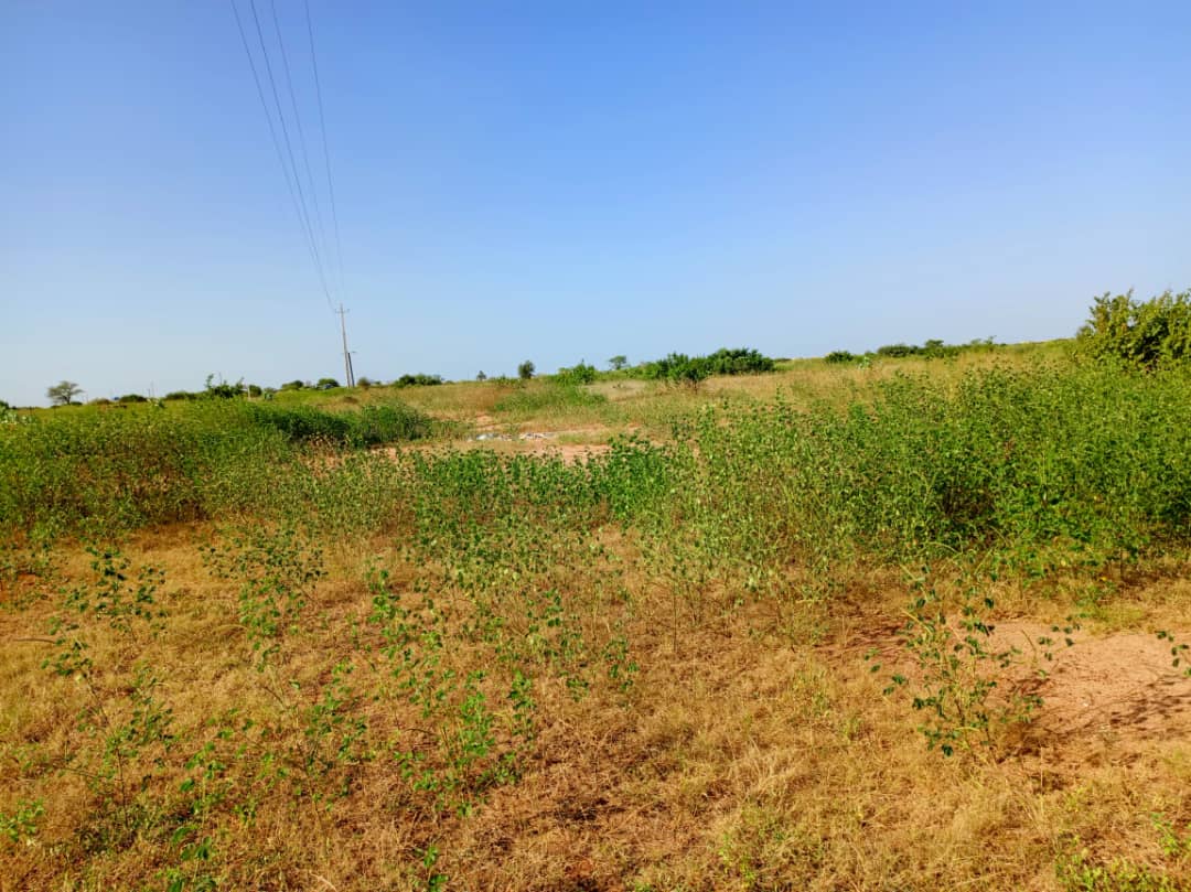 Vente Terrain THIES SENEGAL  