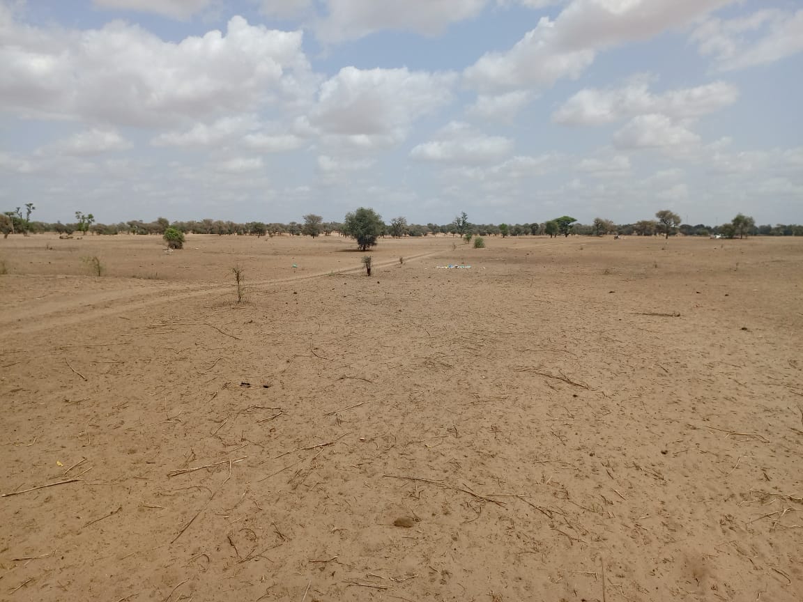Vente Terrain THIES SENEGAL  