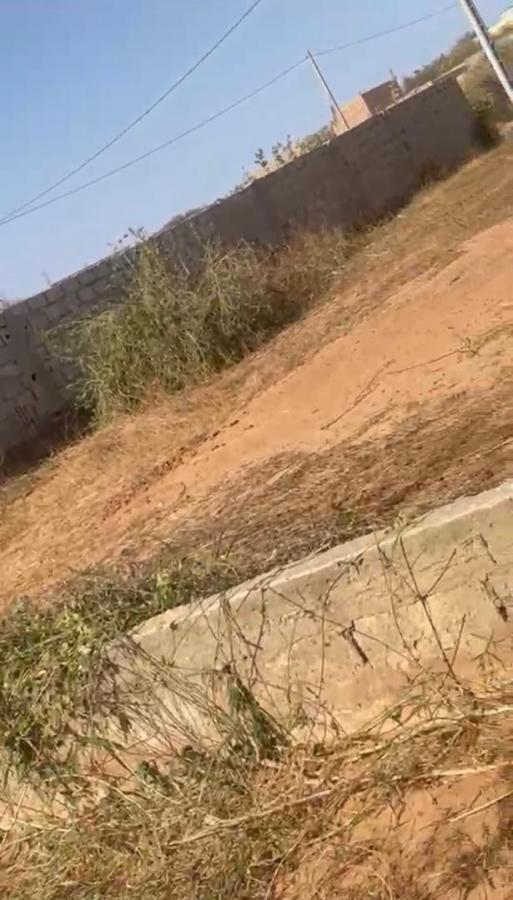 Vente&nbsp;Terrain&nbsp;TOUBAB DIALAW&nbsp;SENEGAL&nbsp;&nbsp;