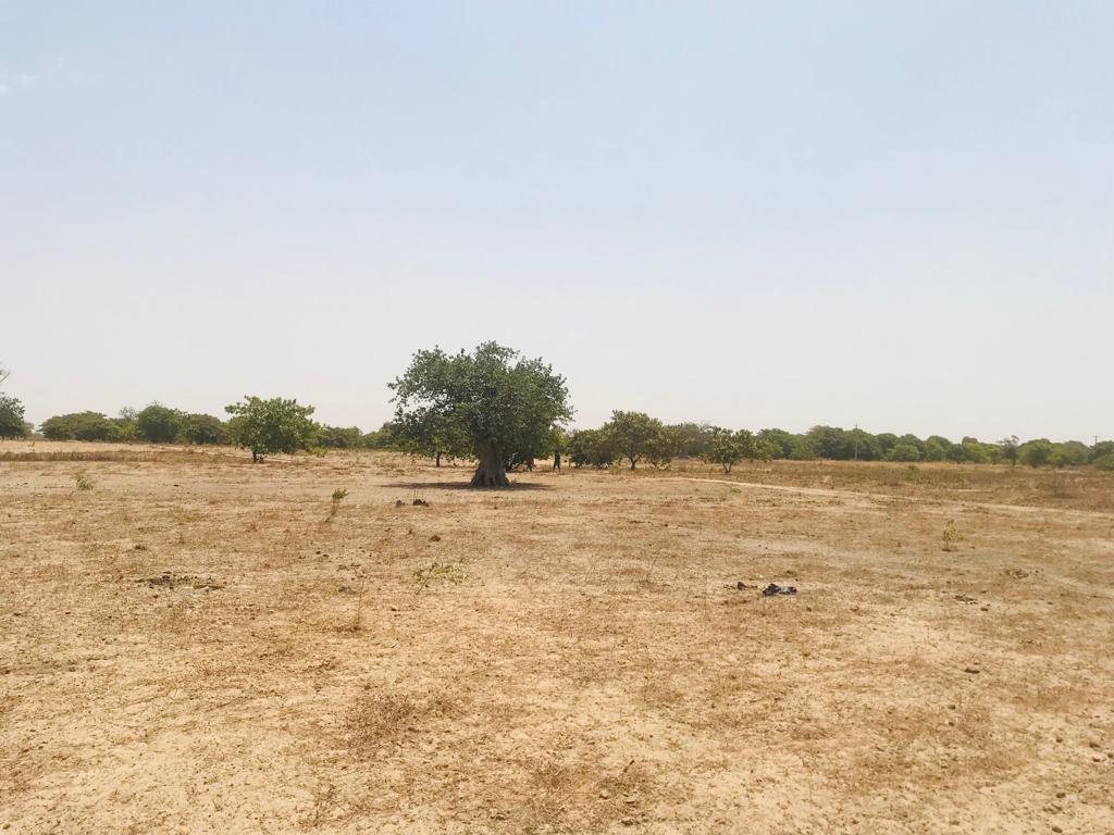 Vente Terrain TOUBACOUNTA SENEGAL  