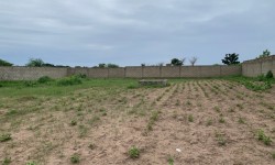 Vente Terrain WARANG - MBALING SENEGAL  