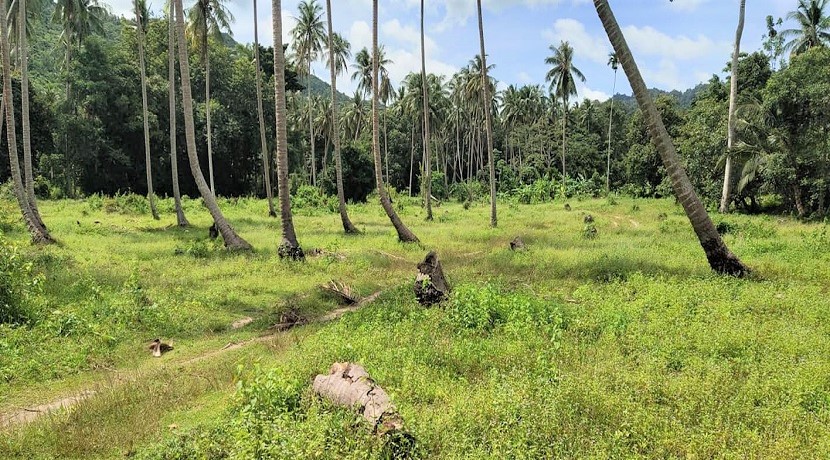 Vente Terrain MAENAM KOH SAMUI THAILANDE  