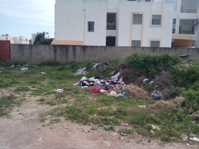Vente Terrain AIN ZAGHOUAN TUNISIE  