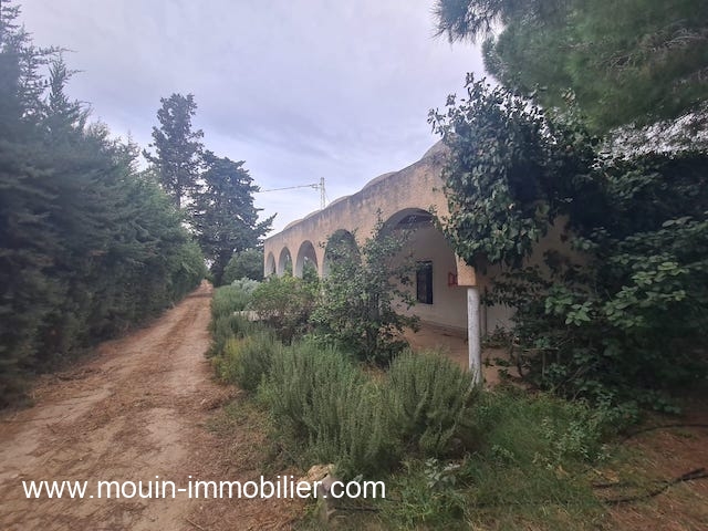 Vente&nbsp;Terrain&nbsp;BENI KHALLED&nbsp;TUNISIE&nbsp;&nbsp;