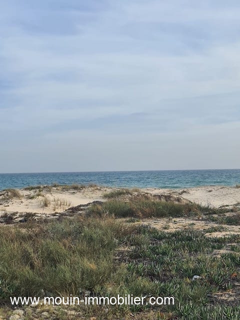 Vente&nbsp;Terrain&nbsp;BENI KHIAR&nbsp;TUNISIE&nbsp;&nbsp;