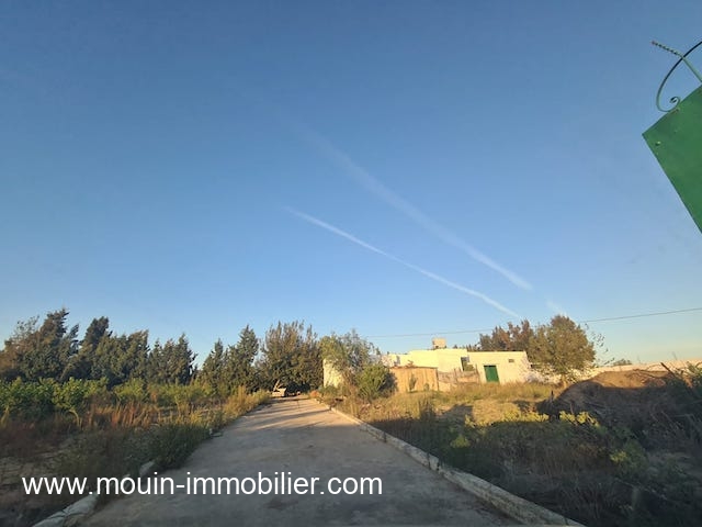 Vente Terrain BENI OUEIL TUNISIE  