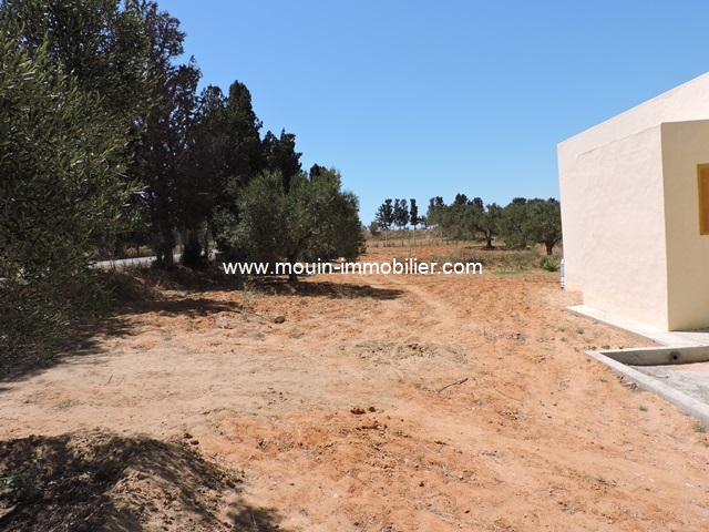 Vente&nbsp;Terrain&nbsp;BIR BOUREGBA HAMMAMET&nbsp;TUNISIE&nbsp;&nbsp;