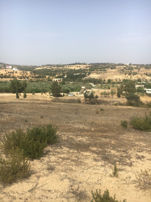 Vente&nbsp;Terrain&nbsp;BIR BOUREGBA HAMMAMET&nbsp;TUNISIE&nbsp;&nbsp;