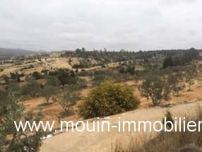 Vente&nbsp;Terrain&nbsp;BIRBOUREGBA&nbsp;TUNISIE&nbsp;&nbsp;