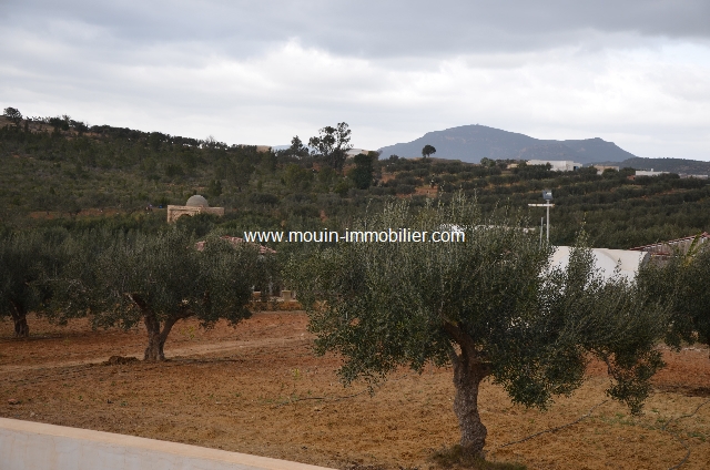 Vente Terrain BIRBOUREGBA TUNISIE  