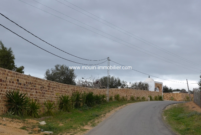 Vente&nbsp;Terrain&nbsp;BIRBOUREGBA HAMMAMET&nbsp;TUNISIE&nbsp;&nbsp;