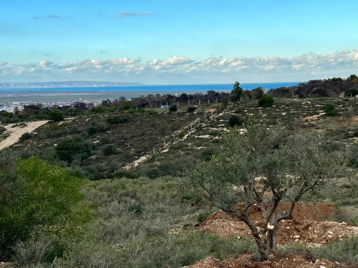 Vente&nbsp;Terrain&nbsp;BORJ ETOUIL&nbsp;TUNISIE&nbsp;&nbsp;