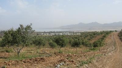 Vente&nbsp;Terrain&nbsp;BOU ACHIR ROUTE DE ZAGHOUEN&nbsp;TUNISIE&nbsp;&nbsp;
